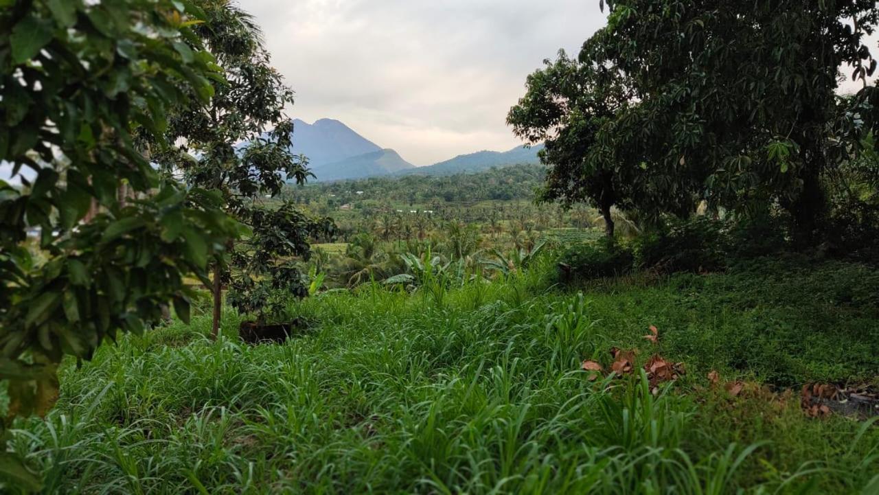 Mudung Keramat Homestay Sapit Ngoại thất bức ảnh