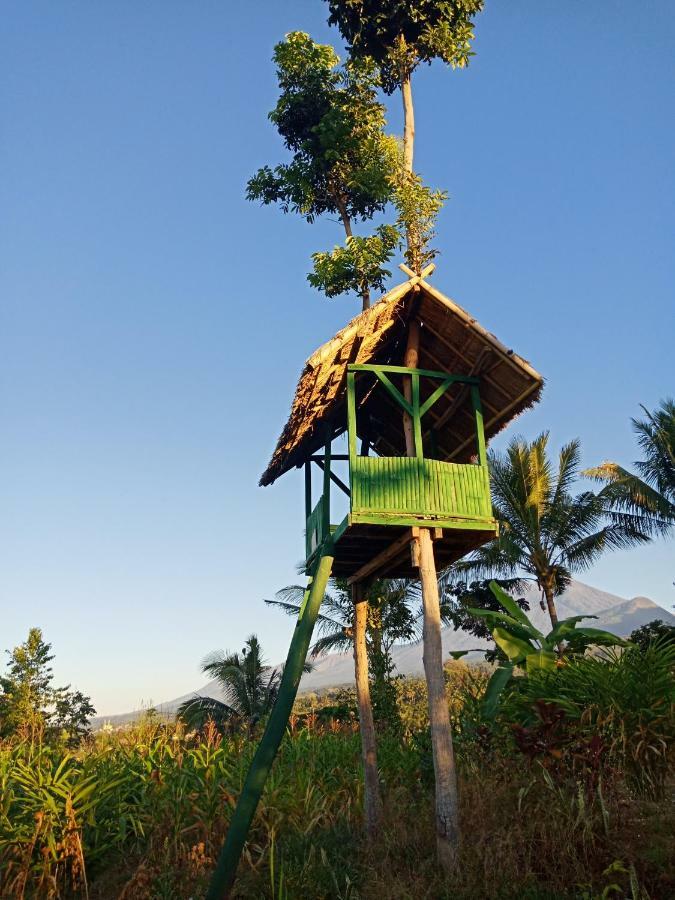 Mudung Keramat Homestay Sapit Ngoại thất bức ảnh